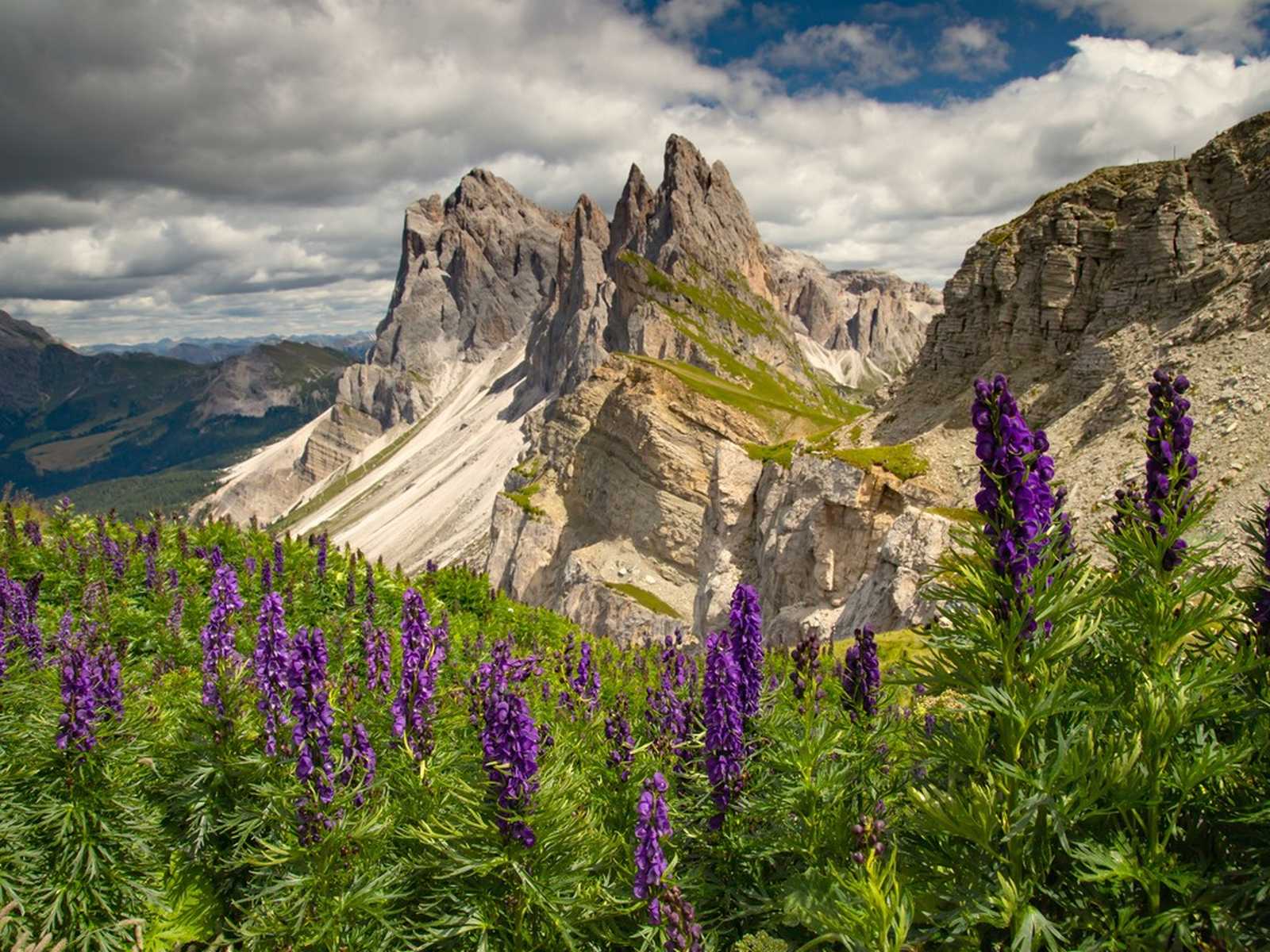כרי דשא ירוקים ונוף הרים באזור אורטיסיי (Ortisei) בדולומיטים