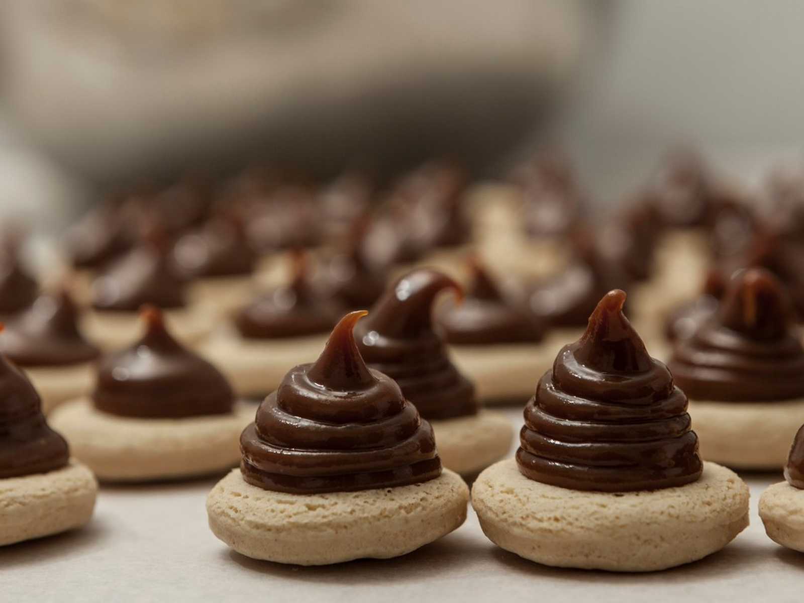 פרלינים ממולאים בשוקולד מוצגים במרכז המבקרים של בית השוקולד פרוג'יה