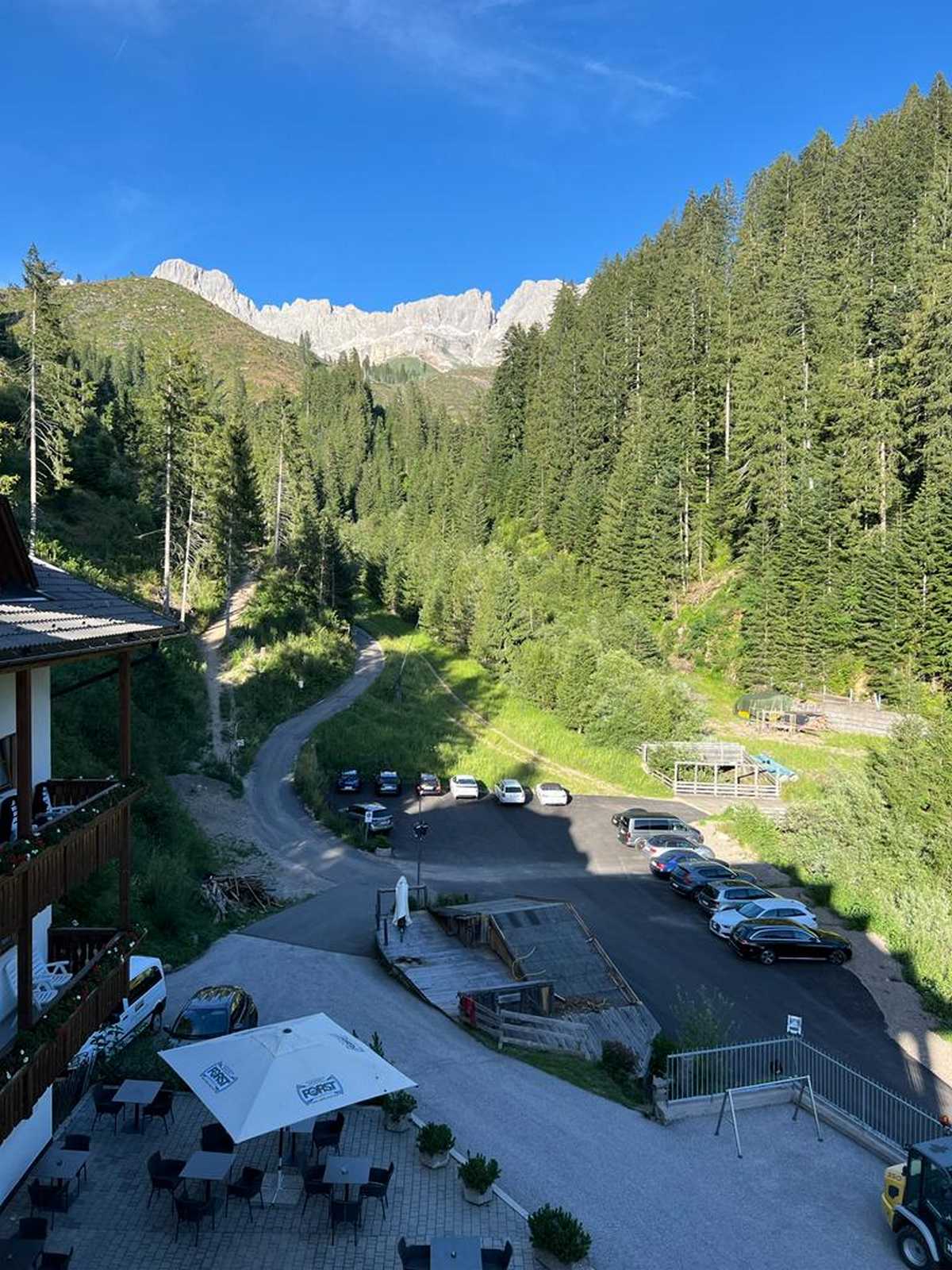 כביש הררי מתפתל בין יערות ירוקים באזור דולומיטים בצפון איטליה.