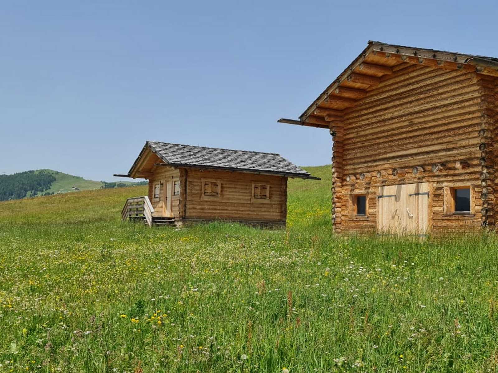 בקתות עץ מסורתיות באחו אלפיני פתוח באזור דולומיטים.