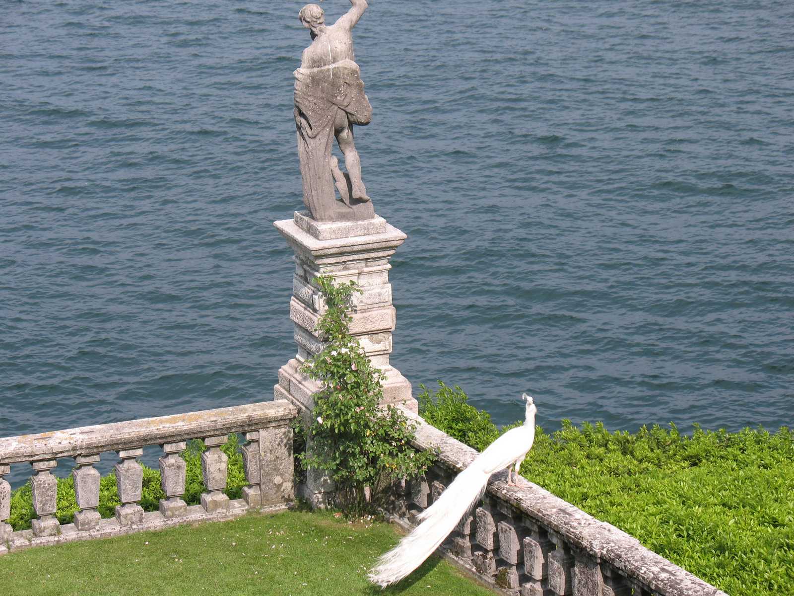 פסל על שפת האגם עם נוף פתוח למים הצלולים באזור לומברדיה בצפון איטליה