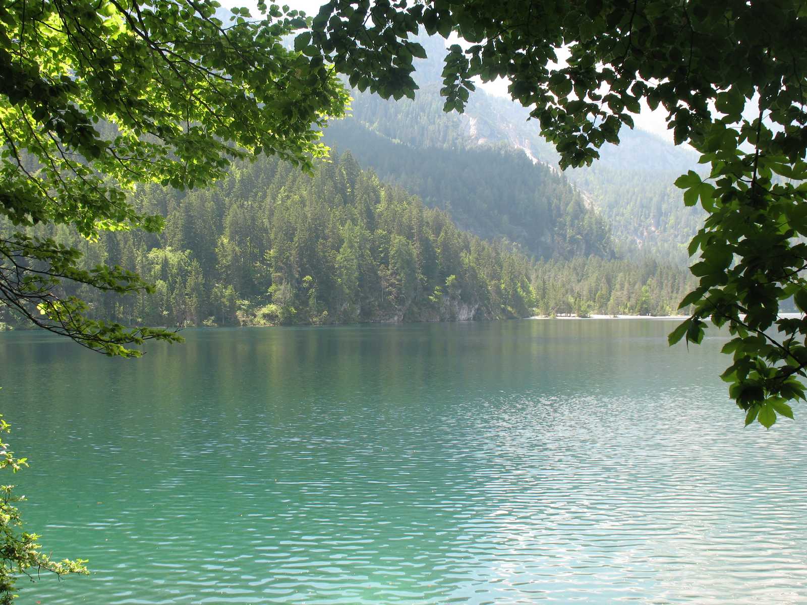 מפרץ קטן עם מים טורקיז ועצים ירוקים, טבע קסום בלומברדיה