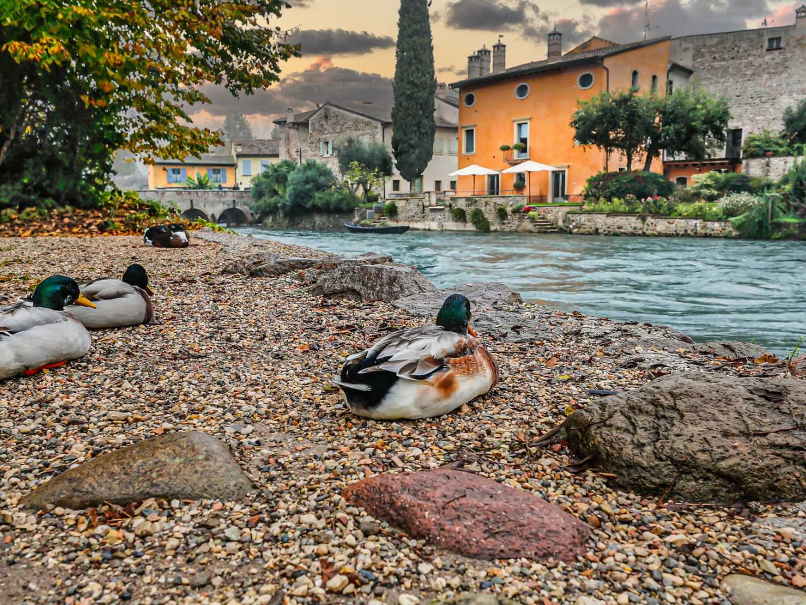 נחל הררי זורם בין בתים ואבן טבעית בכפר ציורי בלומברדיה