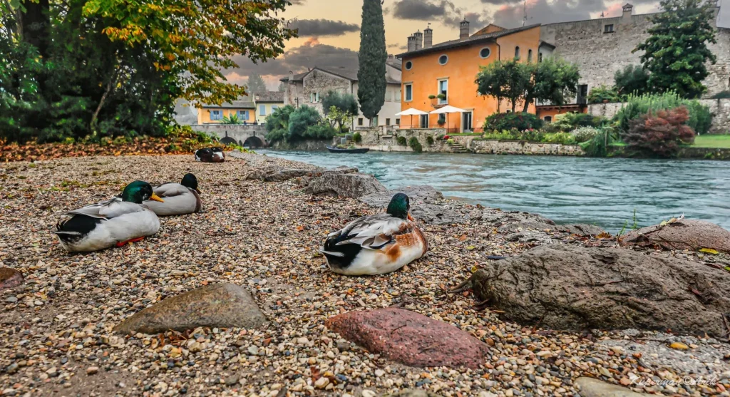 צפון איטליה גארדה