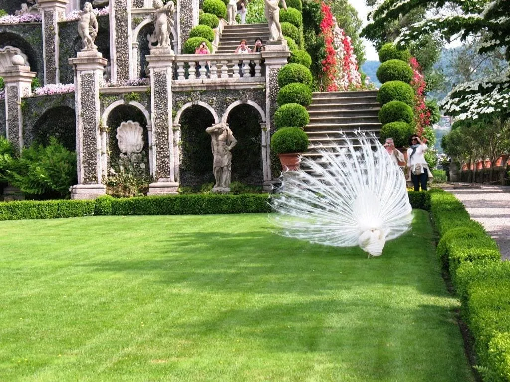 צפון איטליה עם ילדים