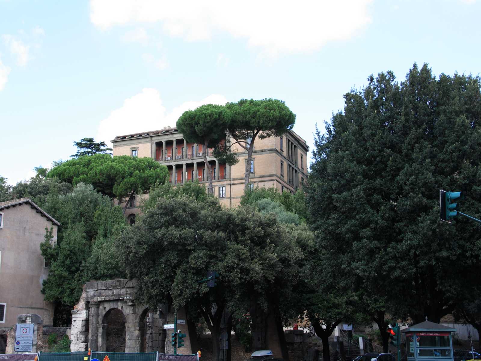 גבעת הקפיטולין (Capitoline Hill) עם עצי האורן האופייניים לנוף של רומא