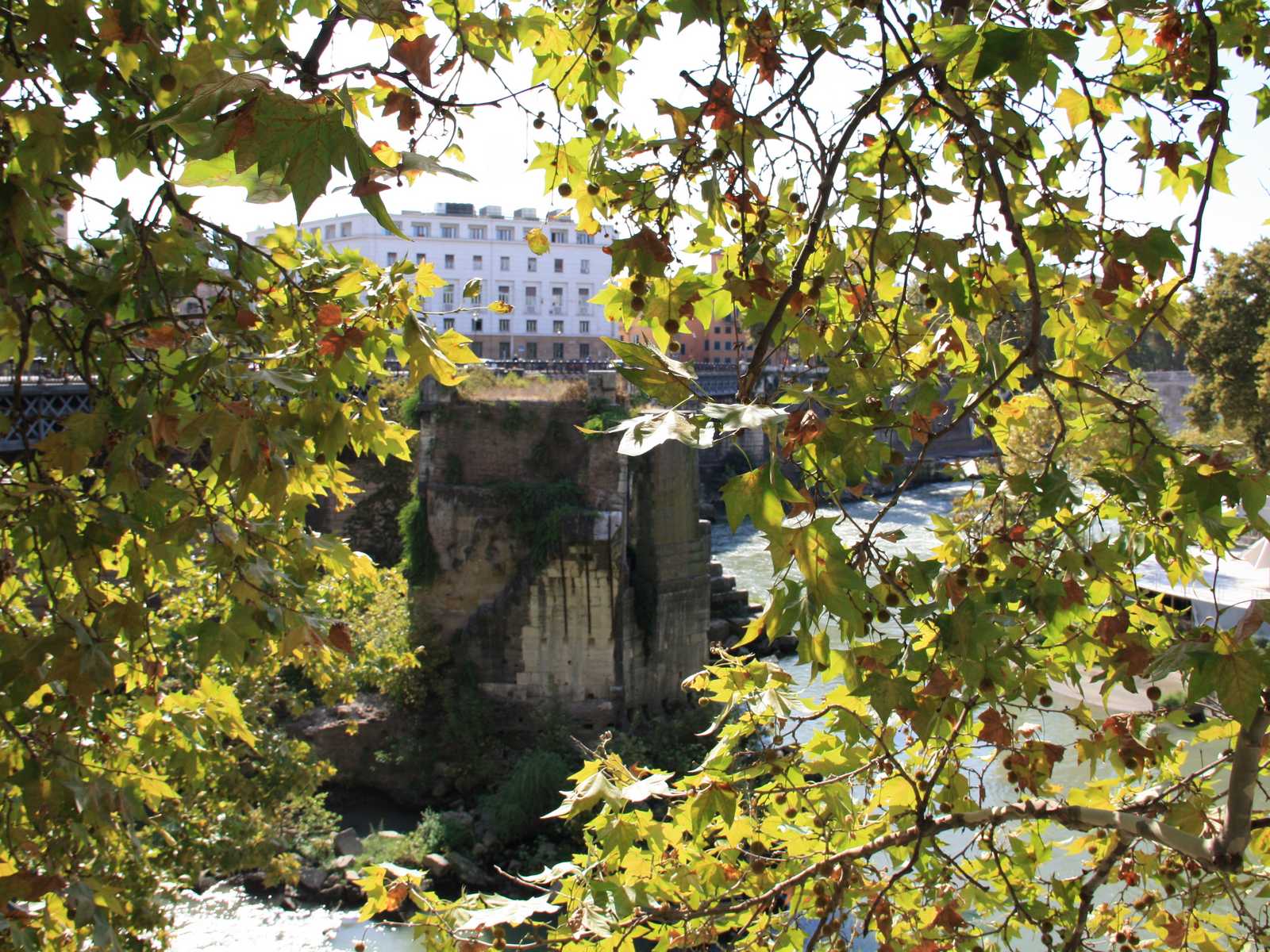 נוף ירוק בפארק וילה בורגזה (Villa Borghese Gardens) בעיר רומא