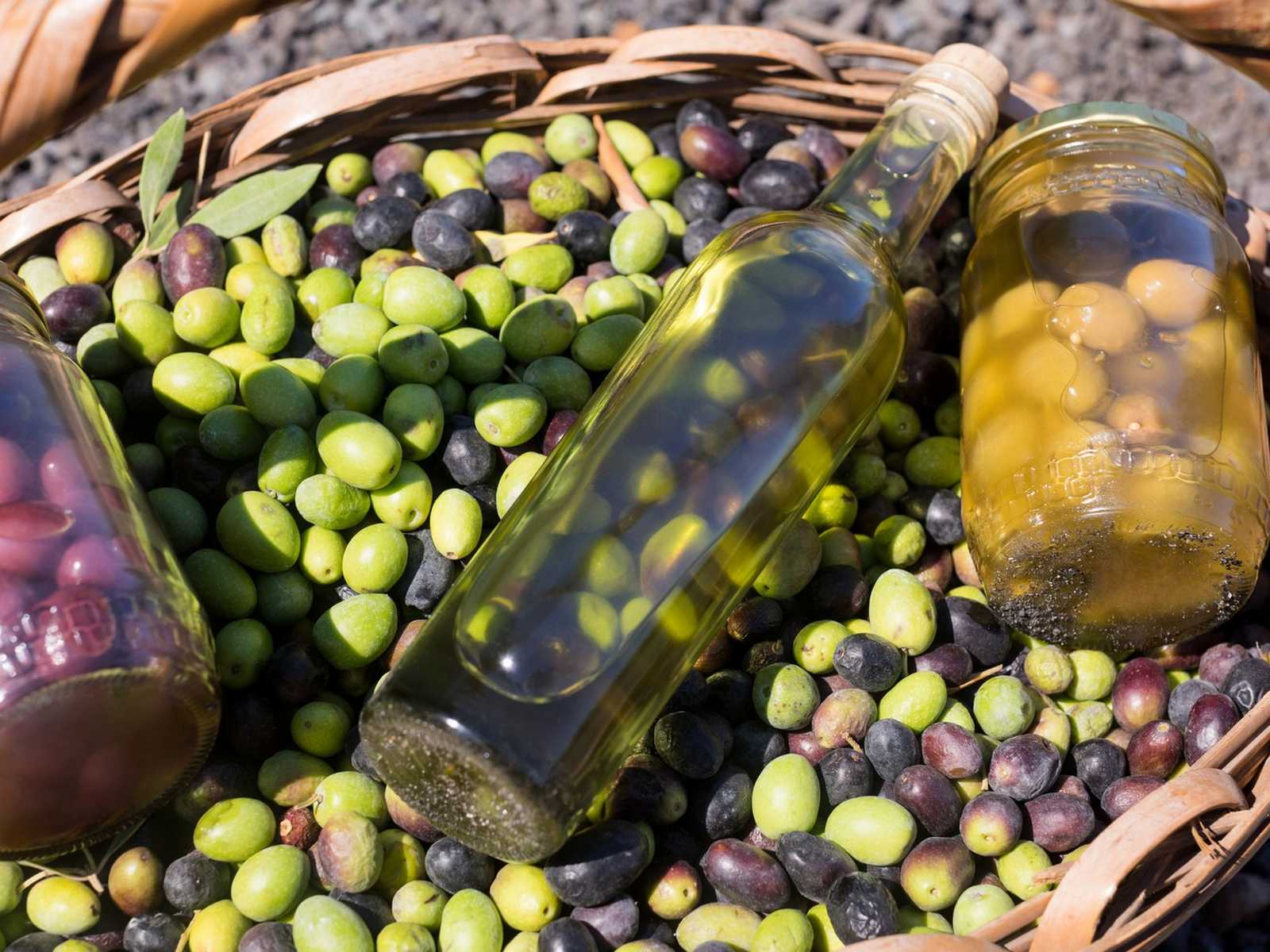 שמן זית וזיתים טריים בסלסלה, מרכיבים מרכזיים בסדנאות בישול בדרום איטליה.